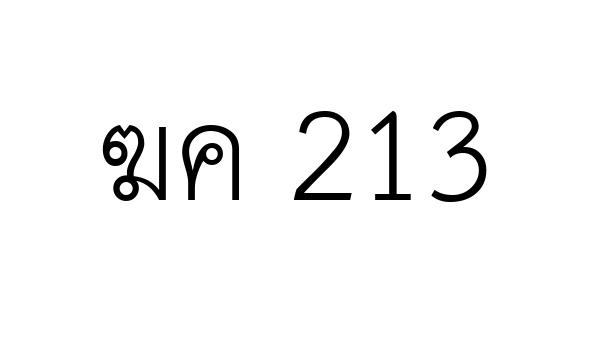 ฆค 213